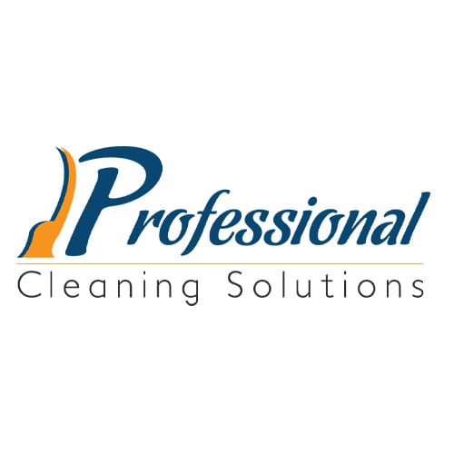 Professional Cleaning Logo Professional Cleaning Logo
